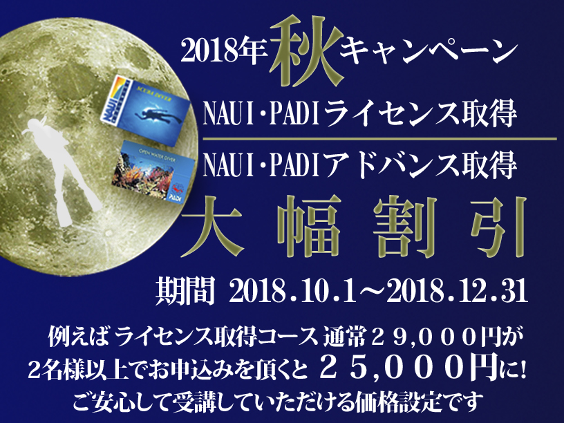秋のライセンス取得割引キャンペーン