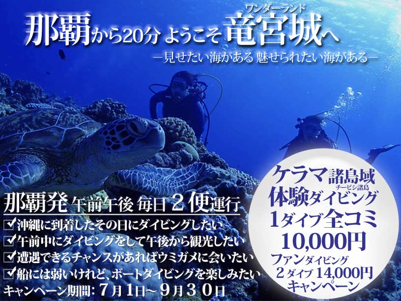 ケラマ諸島半日体験ダイビング