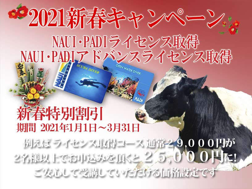 ダイビングライセンス取得割引キャンペーン