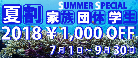 2018夏割キャンペーン