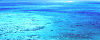 �_�C�u�`���[�g.com