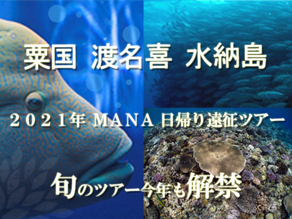 ダイビング遠征ツアー