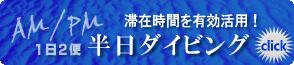 沖縄 半日ダイビング
