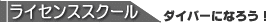 ���� �_�C�r���O ���C�Z���X�擾