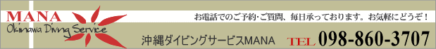 ���� �_�C�r���O�T�[�r�XMANA