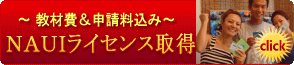 沖縄 NAUIライセンス取得