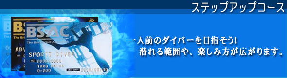 �X�e�b�v�A�b�v�R�[�X