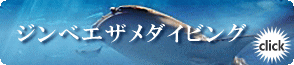 沖縄 ジンベエザメダイビング