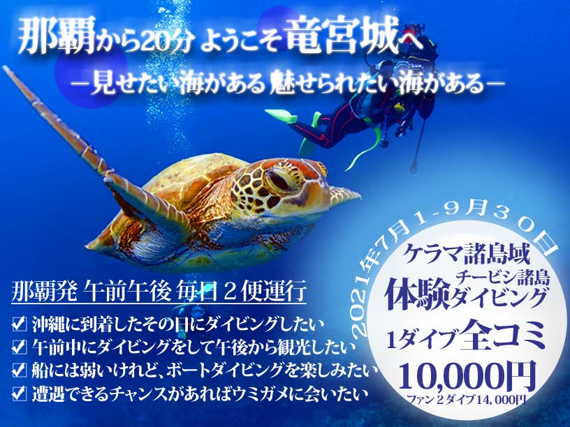 ケラマ諸島半日体験ダイビング