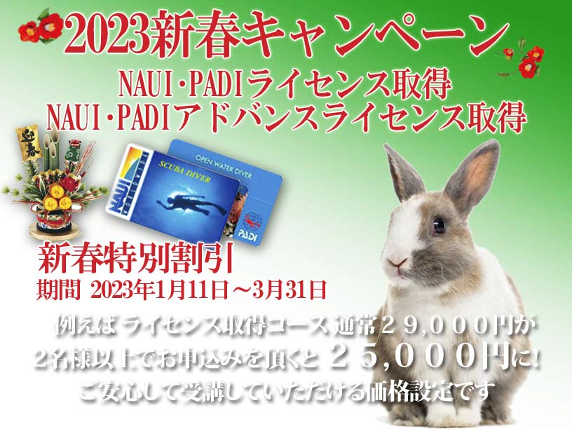 _CrOCZX擾Ly[