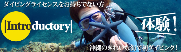 沖縄 体験ダイビング 